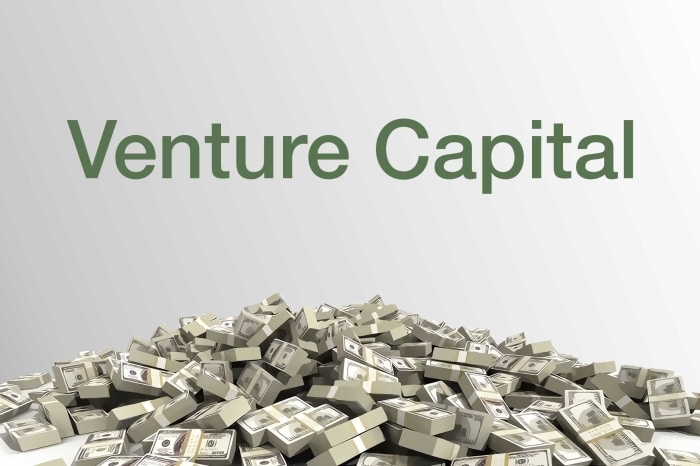 The image represent the text - Venture Capital