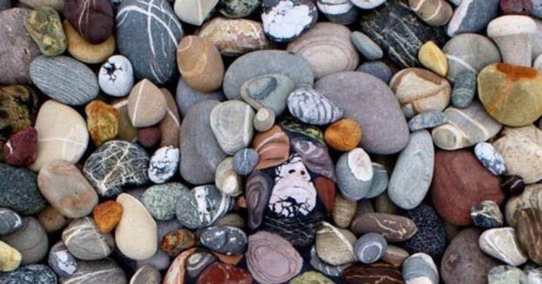 Photo showing a pile of pebbles