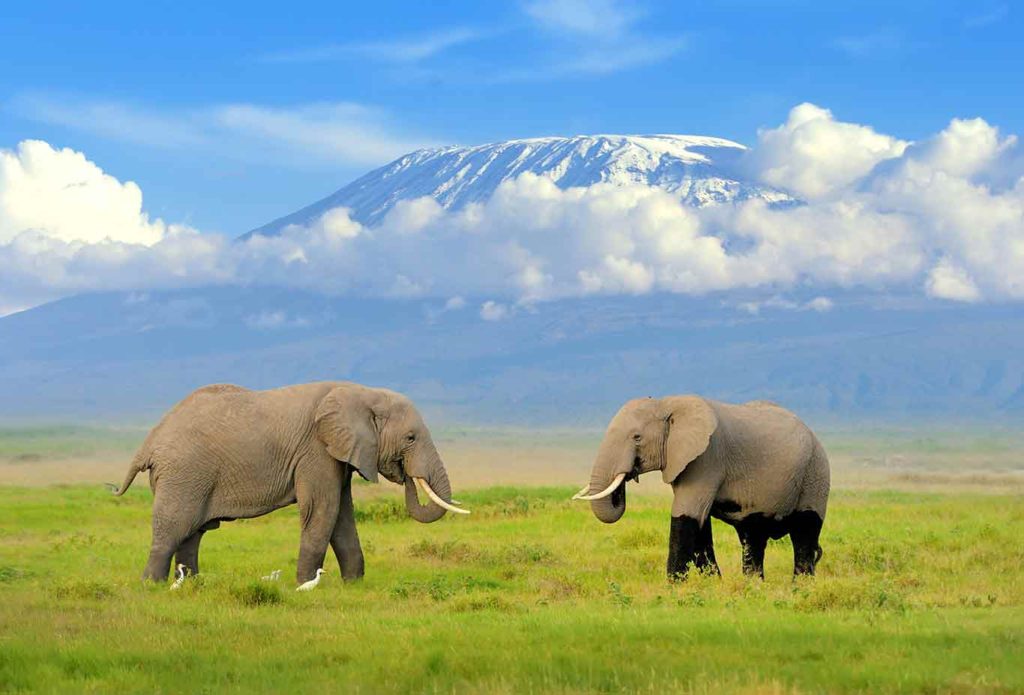 Amboseli National Park