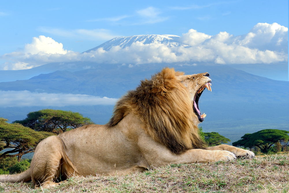 Maasai Mara National Reserve