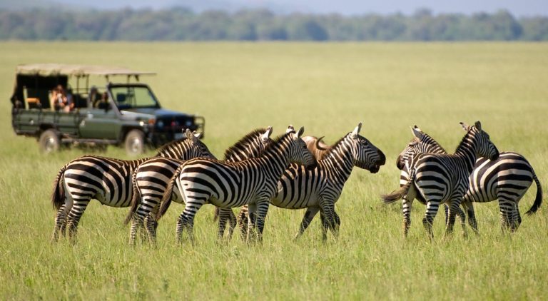 Interesting Wildlife Destinations to Visit in Kenya