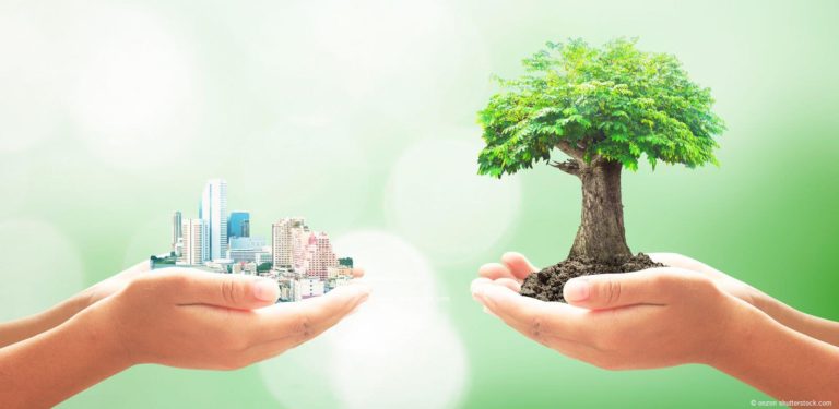How to Build a Saving Culture Leading to Financial Freedom