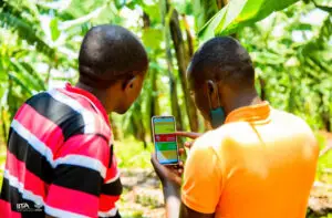 Farmer Accessing market information through a smart phone