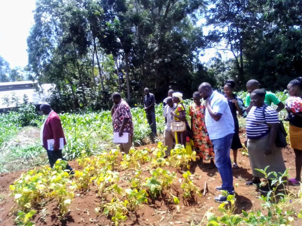 Visiting demo farms with safe production practices